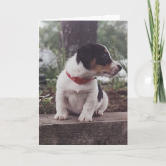 Puppy greeting card karte (Vorderseite)