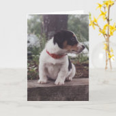 Puppy greeting card karte (Gelbe Blume)