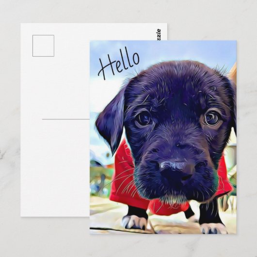 Puppy Hello Postkarte (Vorne/Hinten)
