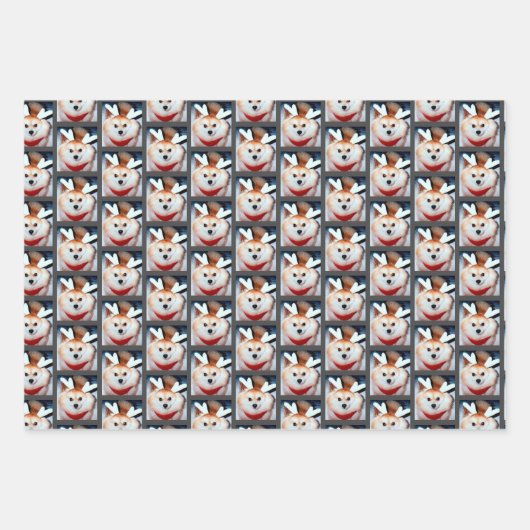 Puppy-Hund-Custom-Foto-Spitz Geschenkpapier Set (Vorderseite 2)