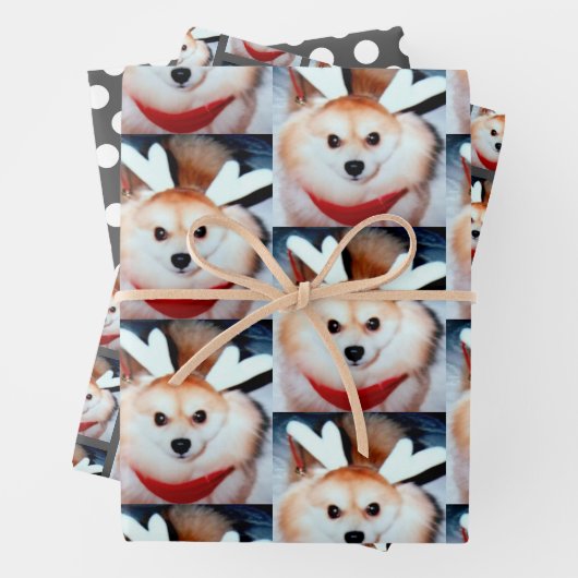 Puppy-Hund-Custom-Foto-Spitz Geschenkpapier Set (Beispiel)