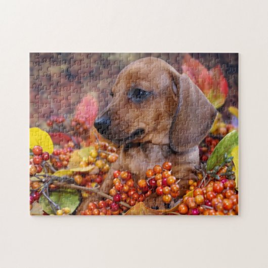 Puppy im Herbst Dackel Puzzle (Horizontal)