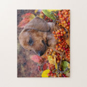 Puppy im Herbst Dackel Puzzle (Vertikal)
