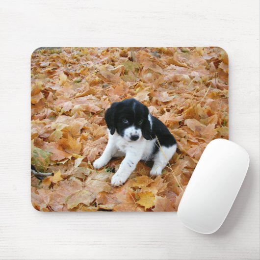Puppy im Herbst Mousepad (Mit Mouse)