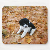 Puppy im Herbst Mousepad (Vorne)