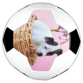 Puppy in einem Korb, Fußball (Gedreht)