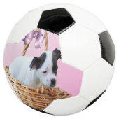 Puppy in einem Korb, Fußball (Dreiviertel)