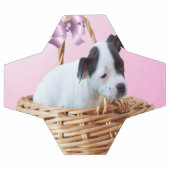Puppy in einem Korb, Fußball (Flach)
