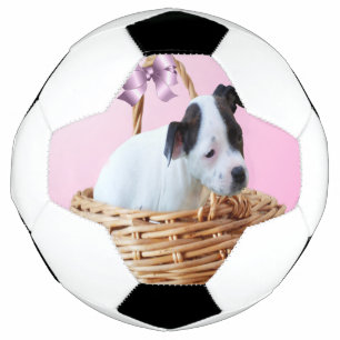 Puppy in einem Korb, Fußball