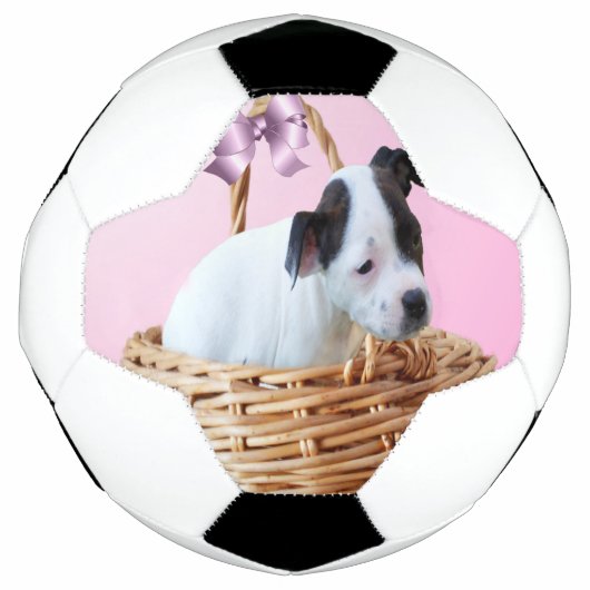 Puppy in einem Korb, Fußball (Vorderseite)