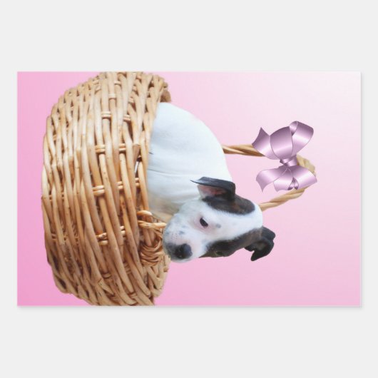 Puppy in einem Korb, Geschenkpapier Set (Vorderseite 2)