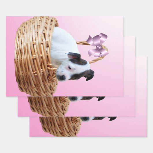 Puppy in einem Korb, Geschenkpapier Set (Set)