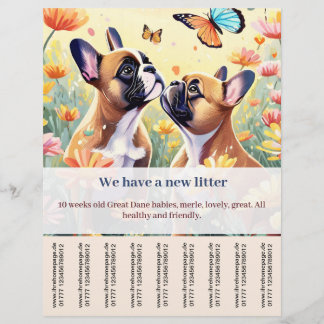 Puppy in Frankreich zum Verkauf Flyer