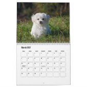 Puppy-Kalender Kalender (Mär 2027)