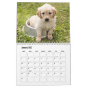 Puppy-Kalender Kalender (Jan 2027)