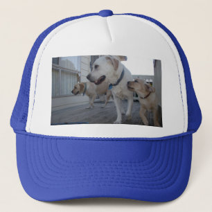 Puppy Kisses: Cream Color Labrador Family Liebe, Truckerkappe