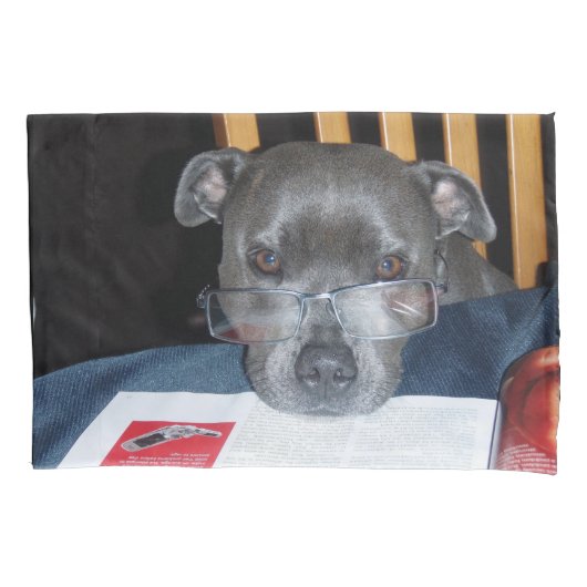 Puppy lesen kissenbezug (Vorderseite)