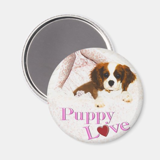 Puppy Liebe Cavalier King Charles Spaniel Magnet (Vorderseite/Rückseite)