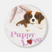 Puppy Liebe Cavalier King Charles Spaniel Magnet (Vorne)