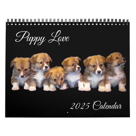 Puppy-Liebe-Kalender Kalender (Titelbild)