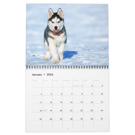 Puppy-Liebe-Kalender Kalender (Jan 2026)