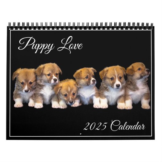 Puppy-Liebe-Kalender Kalender (Titelbild)