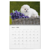 Puppy-Liebe-Kalender Kalender (Mär 2026)