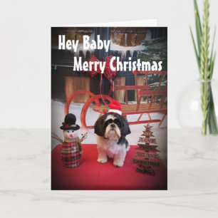 PUPPY LIEBE NAUGHTY ODER SCHÖN BEI CHRISTMAS FEIERTAGSKARTE