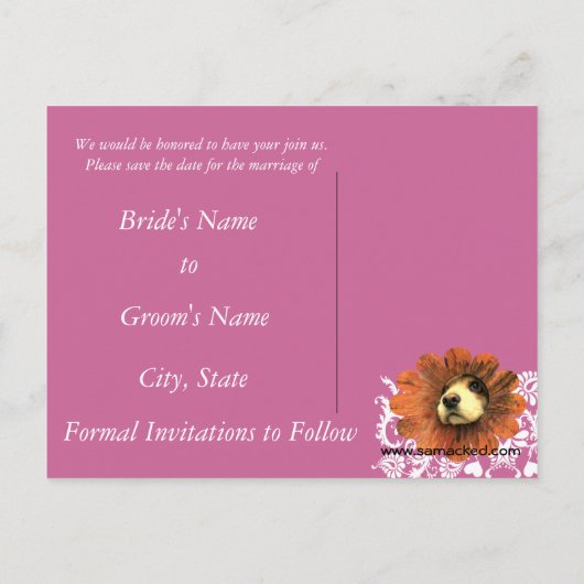 Puppy-Liebe-Peeking aus einer Blume Ankündigungspostkarte (Rückseite)