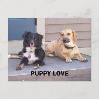 PUPPY-LIEBE POSTKARTE