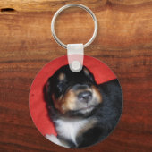 PUPPY LIEBE SCHLÜSSELANHÄNGER (Vorderseite)