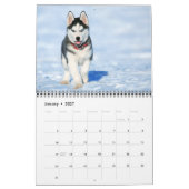 Puppy Love Calendar Kalender (Jan 2027)