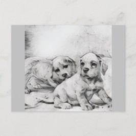 puppy love in gray postkarte