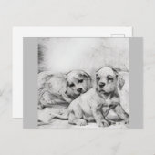 puppy love in gray postkarte (Vorne/Hinten)