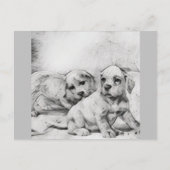 puppy love in gray postkarte (Vorderseite)