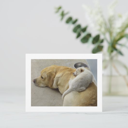 Puppy Love - Labrador and Mixed breed Puppy Postkarte (Stehend Vorderseite)