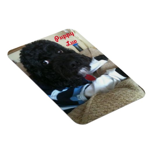 Puppy Luv Magnet (Rechte Seite)