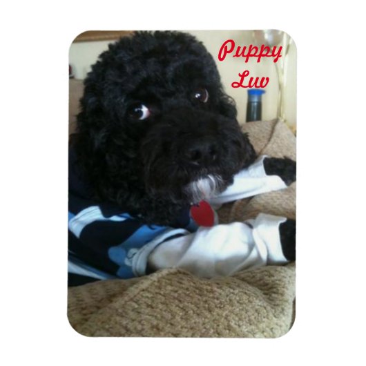 Puppy Luv Magnet (Vertikal)