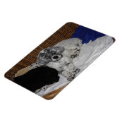 Puppy Magnet (Linke Seite)