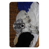 Puppy Magnet (Vertikal)