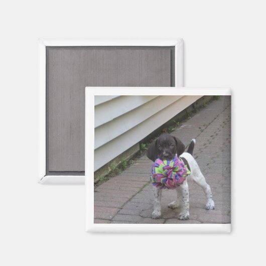 puppy magnet (Vorderseite/Rückseite)