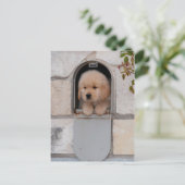 Puppy Mail Postkarte (Stehend Vorderseite)