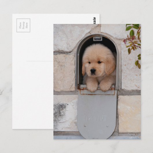 Puppy Mail Postkarte (Vorne/Hinten)