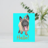 Puppy Malinois Postkarte (Stehend Vorderseite)