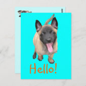 Puppy Malinois Postkarte (Vorne/Hinten)