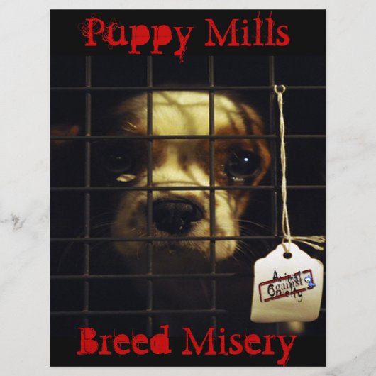 Puppy Mills Flyer (Vorne)