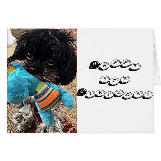 PUPPY MIT TOY SAGT, DASS SIE ZURÜCKGEHEN ****5**** (Vorderseite (Horizontal))