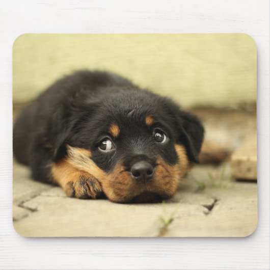 Puppy Mousepad (Vorne)