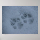 Puppy Paw Prints im Schnee Poster (Vorne)
