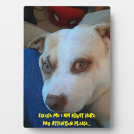 Puppy Pedestal Sign Fotoplatte